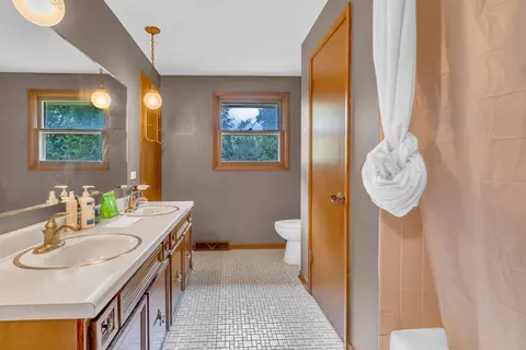 Bath - 1177 Meadow Ln, Elgin, IL 60123 photo 2 of 3