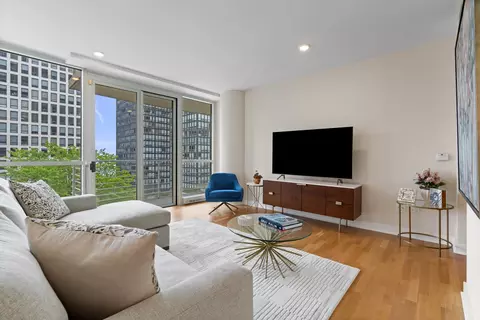 Living - 250 E Pearson St #1002, Chicago, IL 60611 photo 2 of 4