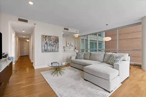 Living - 250 E Pearson St #1002, Chicago, IL 60611 photo 3 of 4
