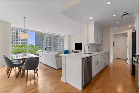 Other - 250 E Pearson St #1002, Chicago, IL 60611 photo 2 of 7