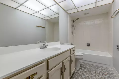 Bath - 475 Plum Creek Dr #304, Wheeling, IL 60090 photo 1 of 1