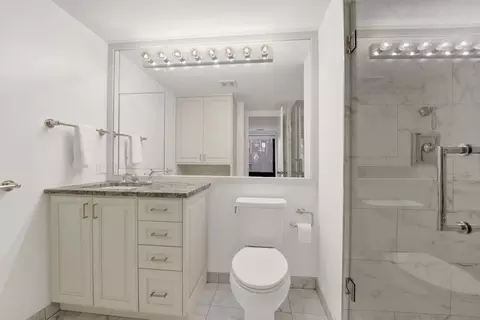 Bath - 40 E Delaware Pl #1701, Chicago, IL 60611 photo 3 of 4