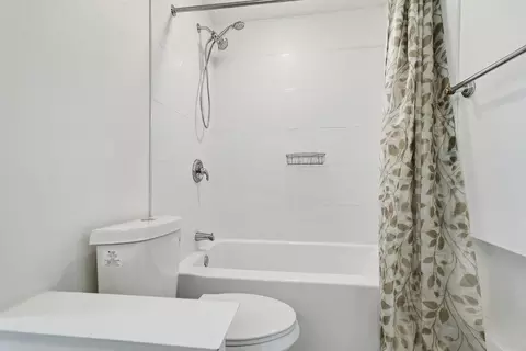 Bath - 1174 E 53rd St, Chicago, IL 60615 photo 3 of 4