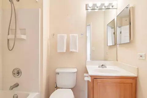 Bath - 163 Lucerne Ct, Wheeling, IL 60090 photo 2 of 3
