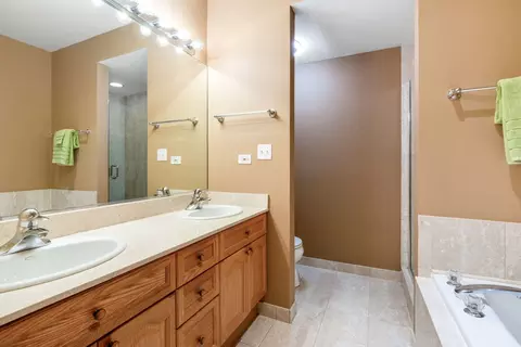 Bath - 1925 S State St #1, Chicago, IL 60616 photo 2 of 3