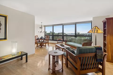 Living - 360 E Randolph St #403, Chicago, IL 60601 photo 6 of 7