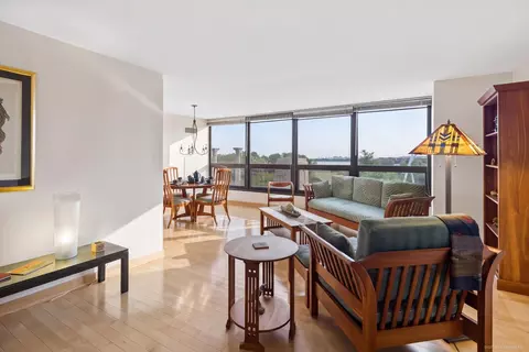 Living - 360 E Randolph St #403, Chicago, IL 60601 photo 5 of 7