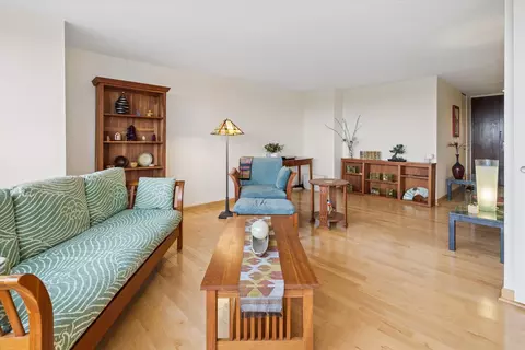 Living - 360 E Randolph St #403, Chicago, IL 60601 photo 4 of 7