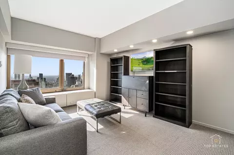 Living - 175 E Delaware Pl #6611, Chicago, IL 60611 photo 6 of 7