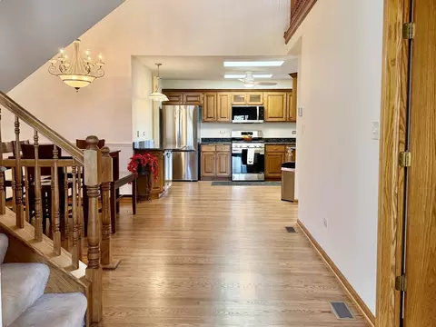 Entry Way - 19339 Lisadell Dr, Tinley Park, IL 60487 photo 2 of 6