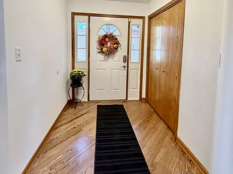 Entry Way - 19339 Lisadell Dr, Tinley Park, IL 60487 photo 1 of 6