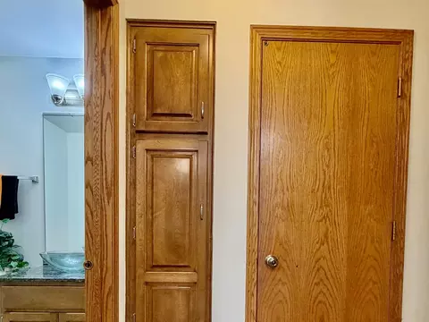 Other - 19339 Lisadell Dr, Tinley Park, IL 60487 photo 3 of 5