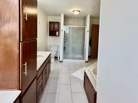 Bath - 19339 Lisadell Dr, Tinley Park, IL 60487 photo 4 of 5