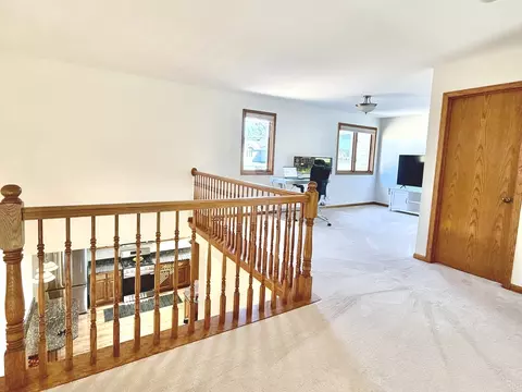 Entry Way - 19339 Lisadell Dr, Tinley Park, IL 60487 photo 5 of 6