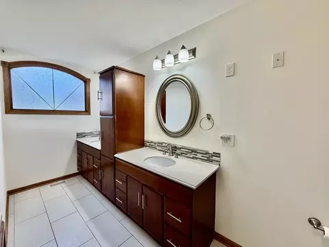 Bath - 19339 Lisadell Dr, Tinley Park, IL 60487 photo 2 of 5