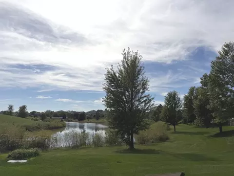 View/Area - 19339 Lisadell Dr, Tinley Park, IL 60487 photo 1 of 1