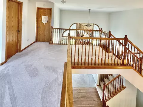Entry Way - 19339 Lisadell Dr, Tinley Park, IL 60487 photo 6 of 6