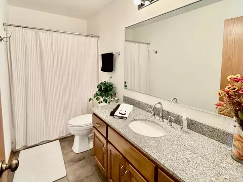Bath - 19339 Lisadell Dr, Tinley Park, IL 60487 photo 5 of 5