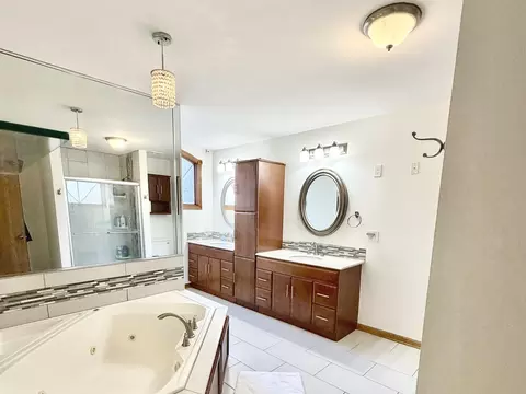 Bath - 19339 Lisadell Dr, Tinley Park, IL 60487 photo 3 of 5