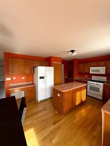 Kitchen - 1301 Burns Ct, Minooka, IL 60447 photo 1 of 1