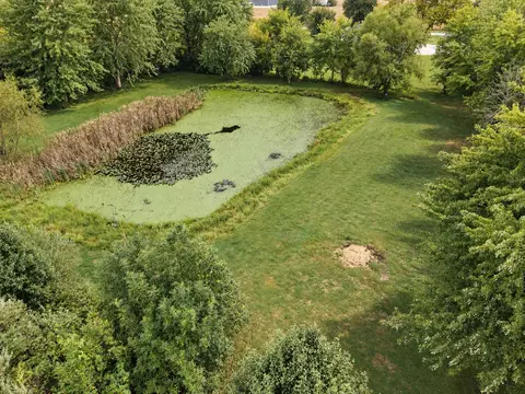 View/Area - 2076 N State Rd, Flora, IL 62839 photo 11 of 12