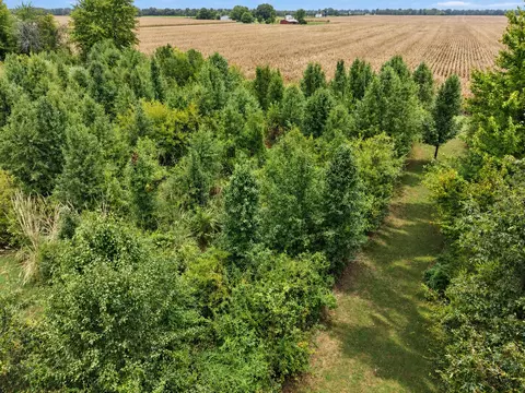 View/Area - 2076 N State Rd, Flora, IL 62839 photo 6 of 12