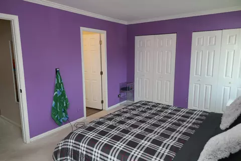 Other - 1000 Sandpiper Ct, Bartlett, IL 60103 photo 8 of 11