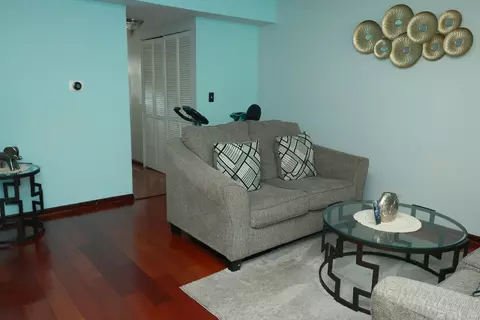Living - 1000 Sandpiper Ct, Bartlett, IL 60103 photo 4 of 4