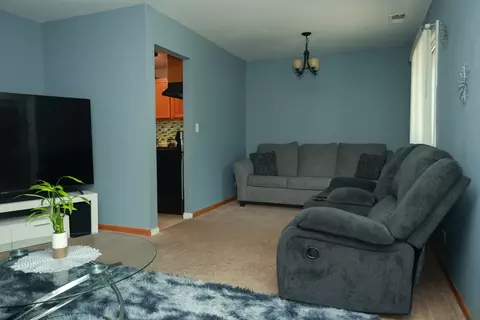 Other - 1132 Sandpiper Ct, Bartlett, IL 60103 photo 4 of 12