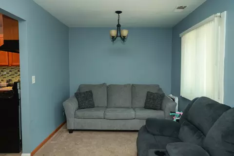 Living - 1132 Sandpiper Ct, Bartlett, IL 60103 photo 1 of 4