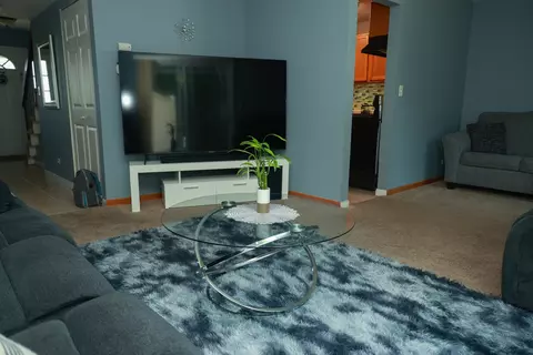 Living - 1132 Sandpiper Ct, Bartlett, IL 60103 photo 4 of 4