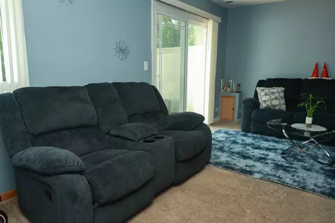 Living - 1132 Sandpiper Ct, Bartlett, IL 60103 photo 2 of 4