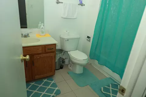 Bath - 1132 Sandpiper Ct, Bartlett, IL 60103 photo 1 of 8