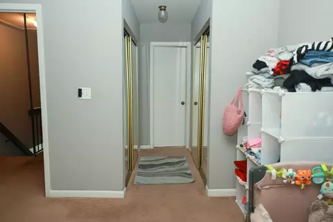 Other - 1132 Sandpiper Ct, Bartlett, IL 60103 photo 9 of 12