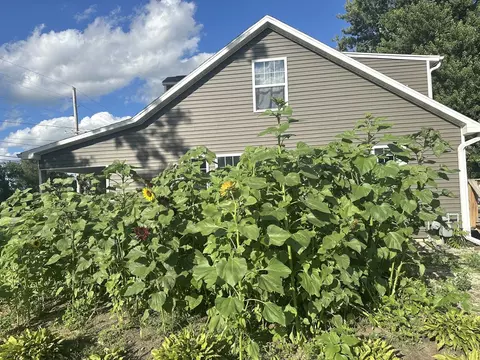 Exterior - 800 E 2nd St, Rock Falls, IL 61071 photo 13 of 14