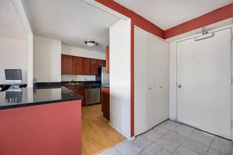 Entry Way - 30 E Huron St #4008, Chicago, IL 60611 photo 1 of 1