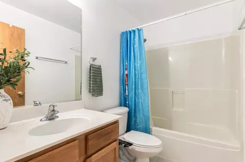 Bath - 347 Coneflower Dr, Minooka, IL 60447 photo 2 of 3