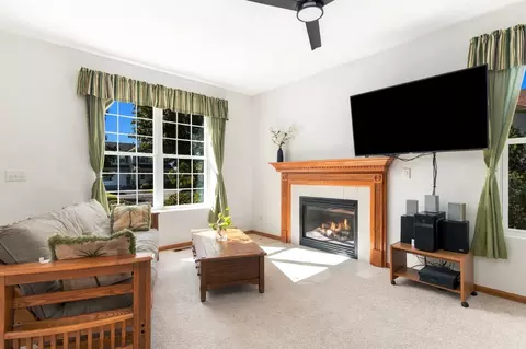 Living - 347 Coneflower Dr, Minooka, IL 60447 photo 1 of 2