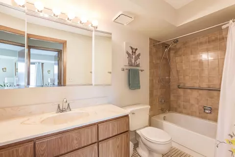 Bath - 1441 E Thacker St #304, Des Plaines, IL 60016 photo 1 of 2