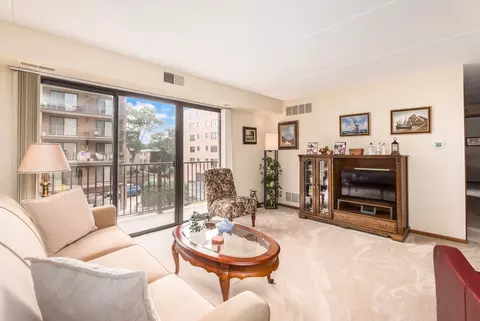 Living - 1441 E Thacker St #304, Des Plaines, IL 60016 photo 1 of 2