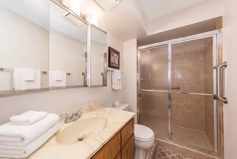 Bath - 1441 E Thacker St #304, Des Plaines, IL 60016 photo 2 of 2