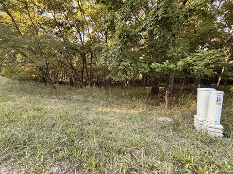 lot55 Eagle Chase Dr, Seneca, IL 61360 photo 4