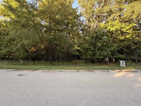 lot55 Eagle Chase Dr, Seneca, IL 61360