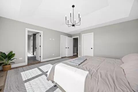 Bedroom - 12428 Limerick Ln, Plainfield, IL 60585 photo 6 of 6