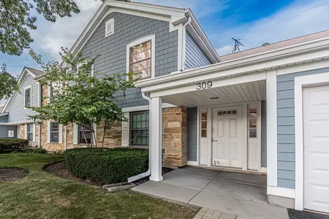 309 Maplewood Ct #D1, Schaumburg, IL 60193