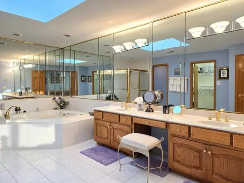 Bath - 9930 Balsam Ct, Mokena, IL 60448 photo 3 of 5