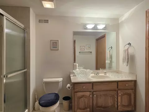 Bath - 9930 Balsam Ct, Mokena, IL 60448 photo 2 of 5