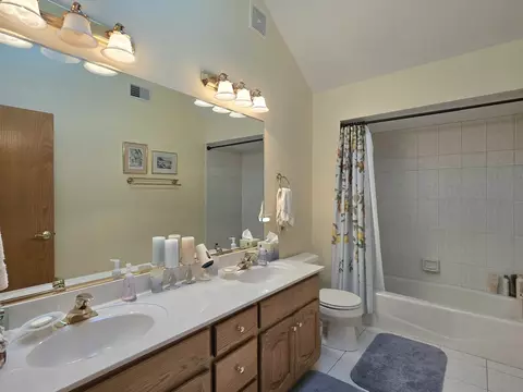 Bath - 9930 Balsam Ct, Mokena, IL 60448 photo 5 of 5