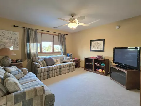 Other - 9930 Balsam Ct, Mokena, IL 60448 photo 4 of 5
