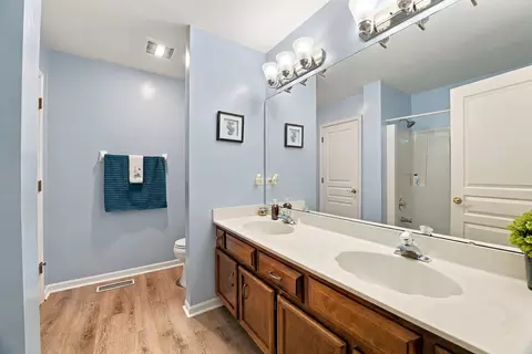 Bath - 23102 Lacroix Ln, Plainfield, IL 60544 photo 4 of 5